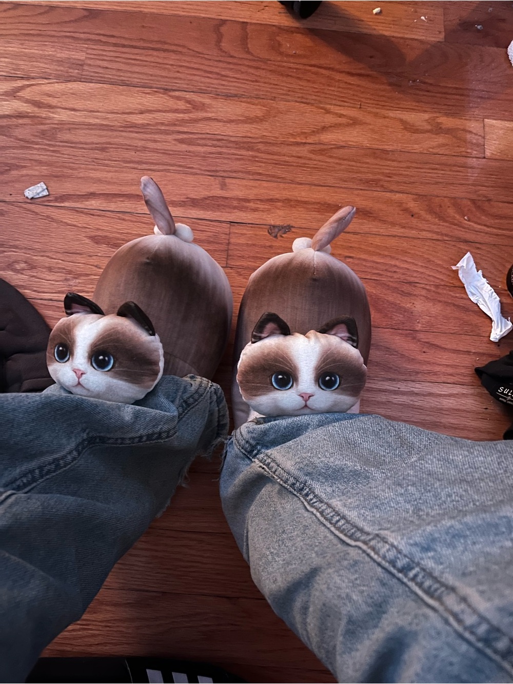 Plush Brown Cat Slip-On Slippers for Women